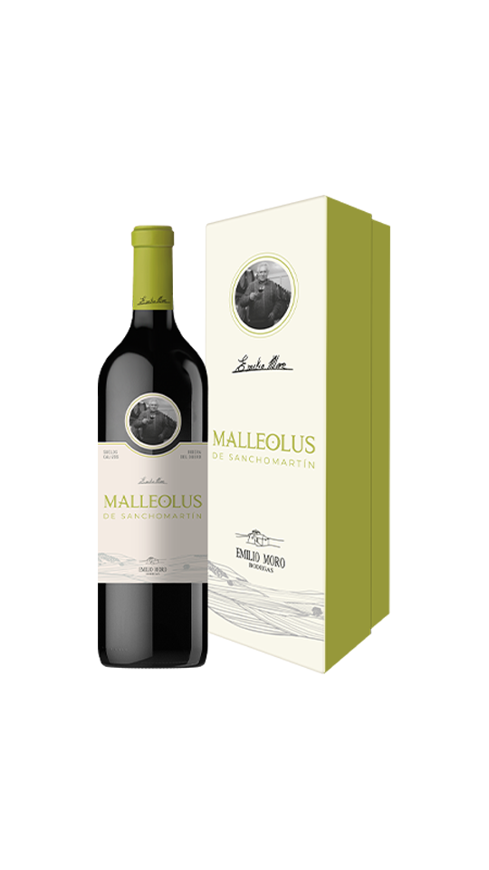 MALLEOLUS de Sanchomartin