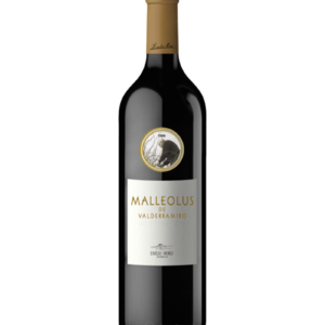 MALLEOLUS de Valderramiro