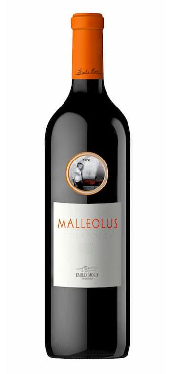 vino tinto malleolus reserva