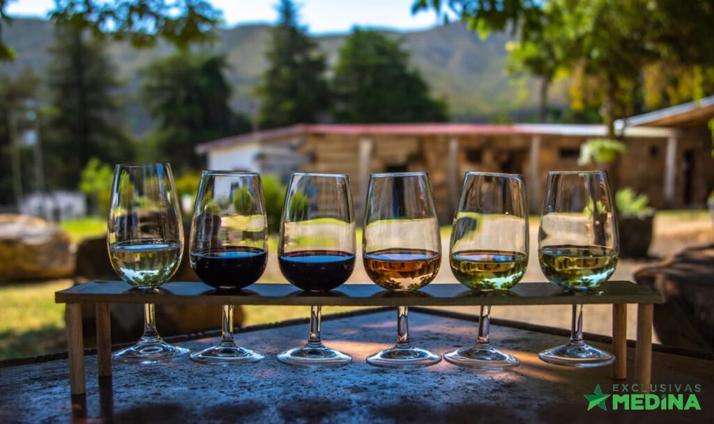 tipos de vino exclusivas medina